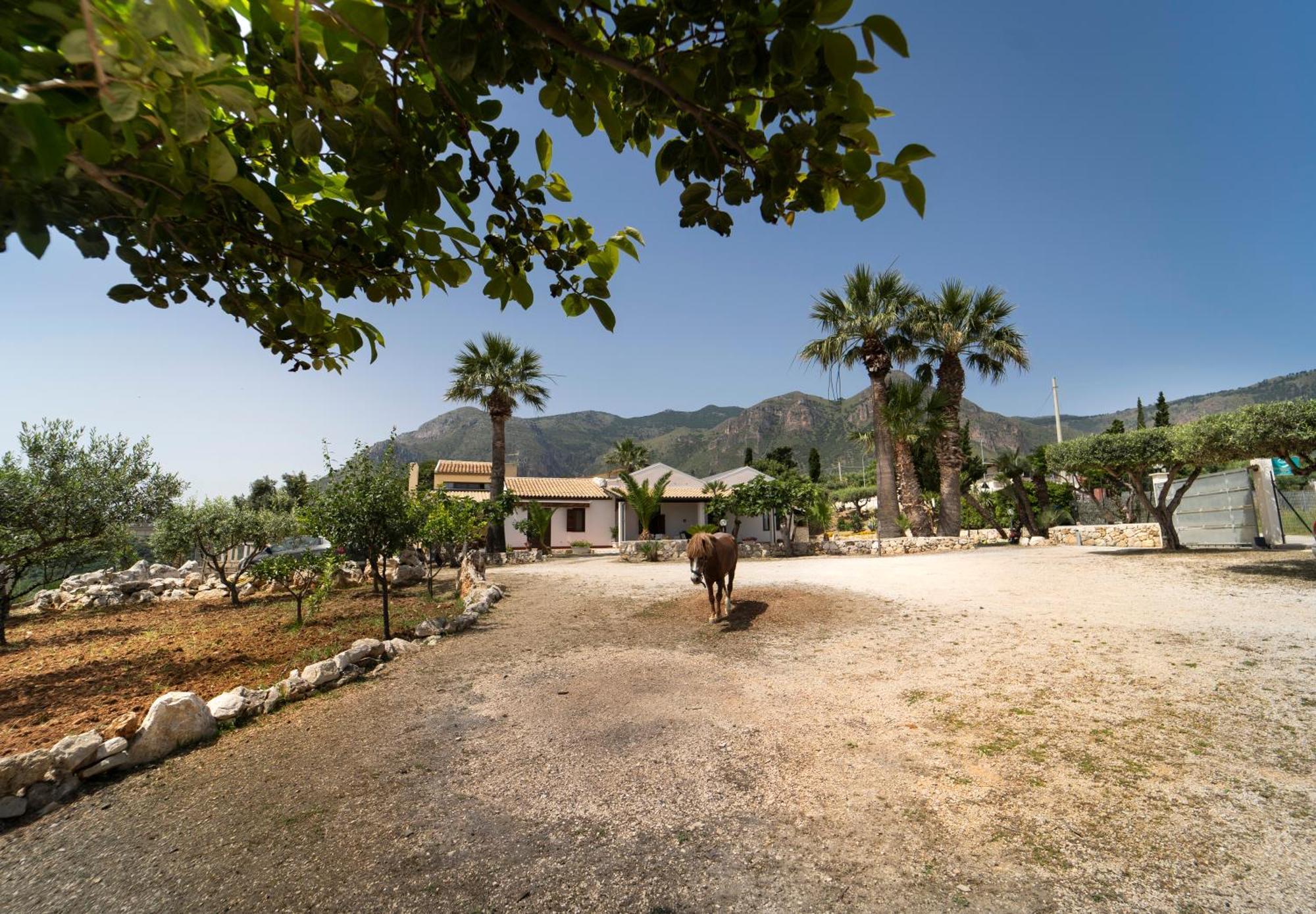 B&B Kore Castellammare del Golfo Exterior foto