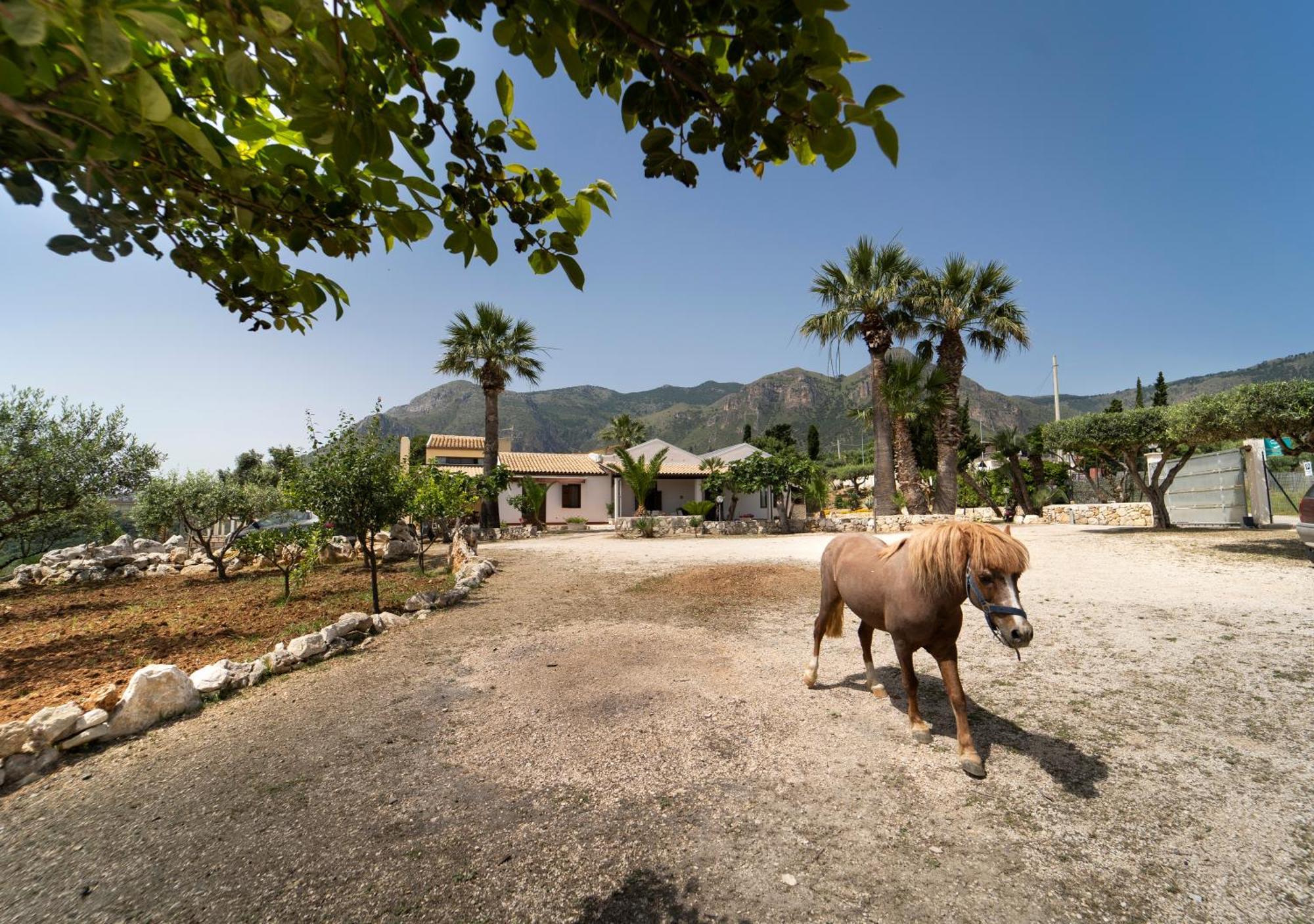 B&B Kore Castellammare del Golfo Exterior foto